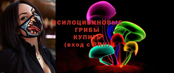 молекула духа Вязники